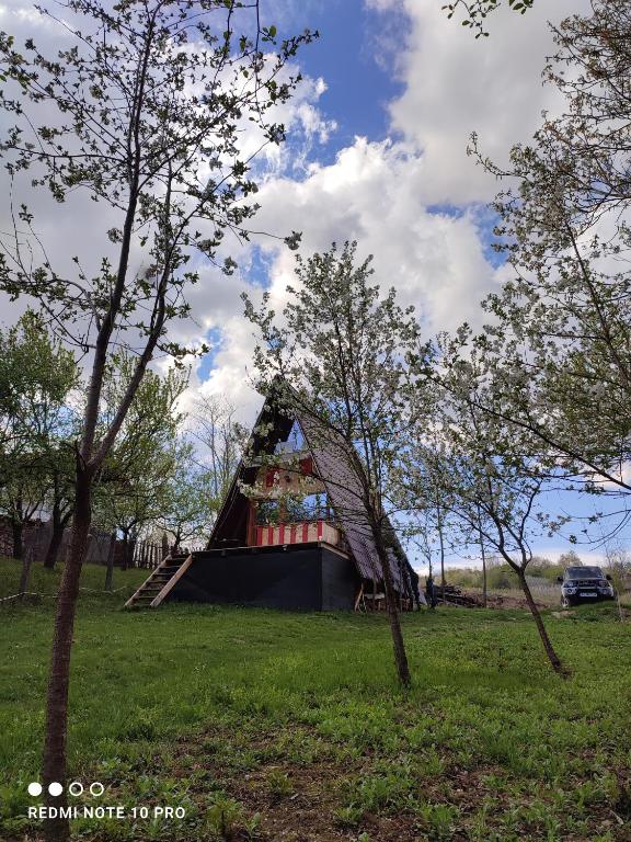 CabanuțA Young Valley - Ferienwohnung Bâltişoara