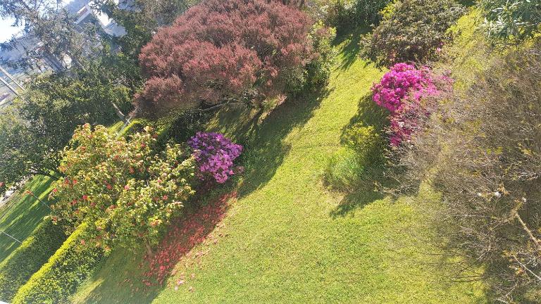 Casa con jardín a 200 metros Playa de Areas en Sanxenxo - Ferienwohnung Sanxenxo