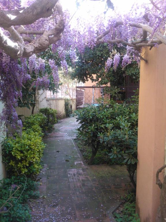 Appartamenti Torre Medicea 1 - Bed and Breakfast Castiglioncello