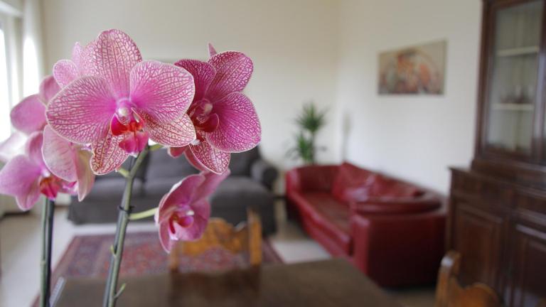 Casa Farinati - Ferienwohnung Verona