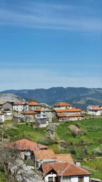 Родопска къща за гости с.ЧАЛА - B&B Chala