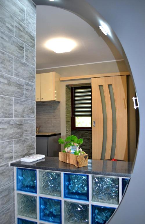 Maria Faleza Mangalia Apartament - B&B Mangalia