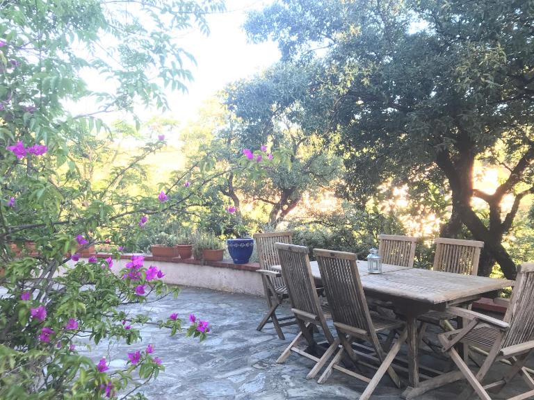 Le jardin suspendu - B&B Collioure