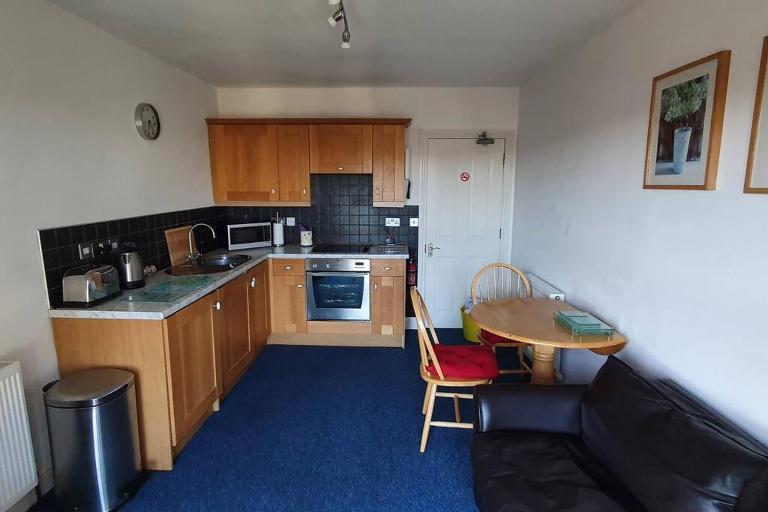 Stylish, comfortable apartment with balcony - Ferienwohnung Plymouth
