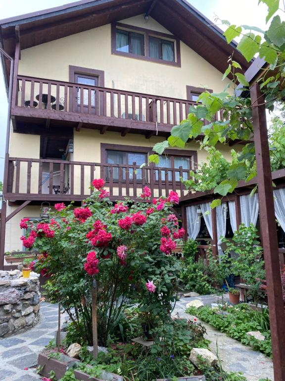 Casa Donau Delta - B&B Sulina