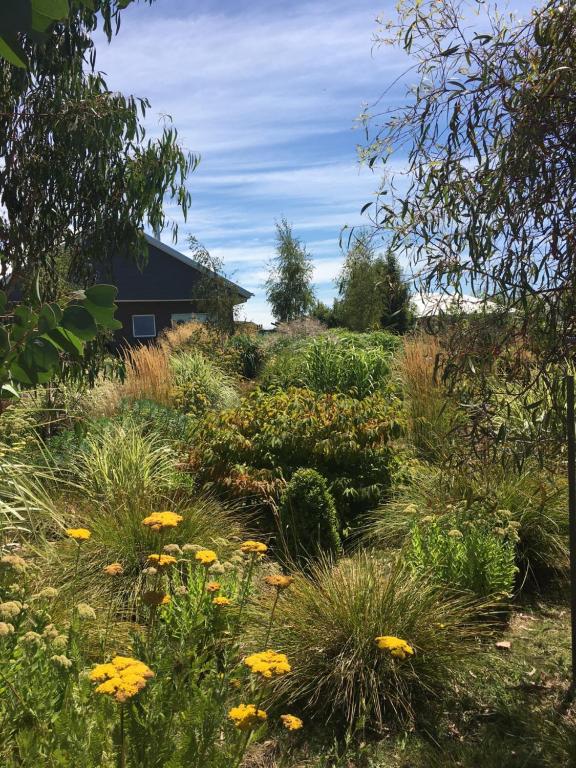 a'meadow - B&B Trentham