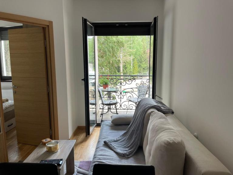 Apartment Teodora 4 ZVEZDICE-minimum 3 nocenja za rezervaciju - Chambres d'hôtes Zlatibor