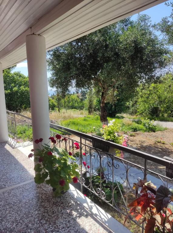 Marie-Angela HOUSE ARILLAS - Bed and Breakfast Karyófyto