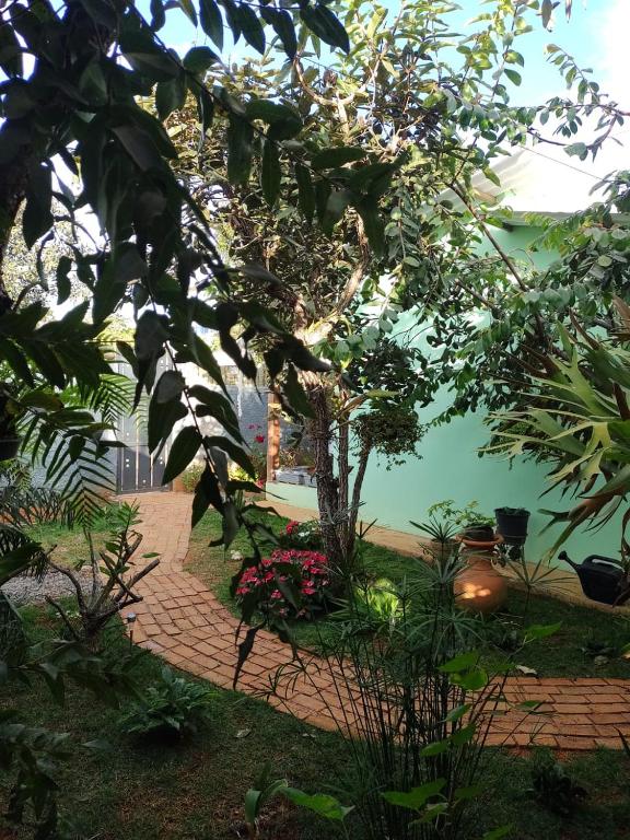 Flores do Cerrado - Bed and Breakfast Alto Paraíso de Goiás