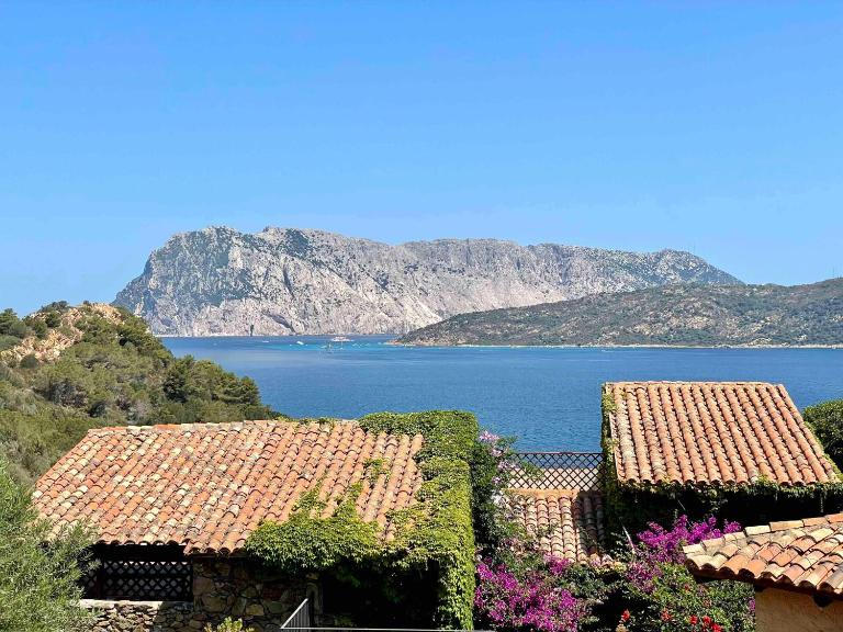 Punta Est - Trilo ELICRISO Terrazza Vista Mare - B&B Capo Coda Cavallo