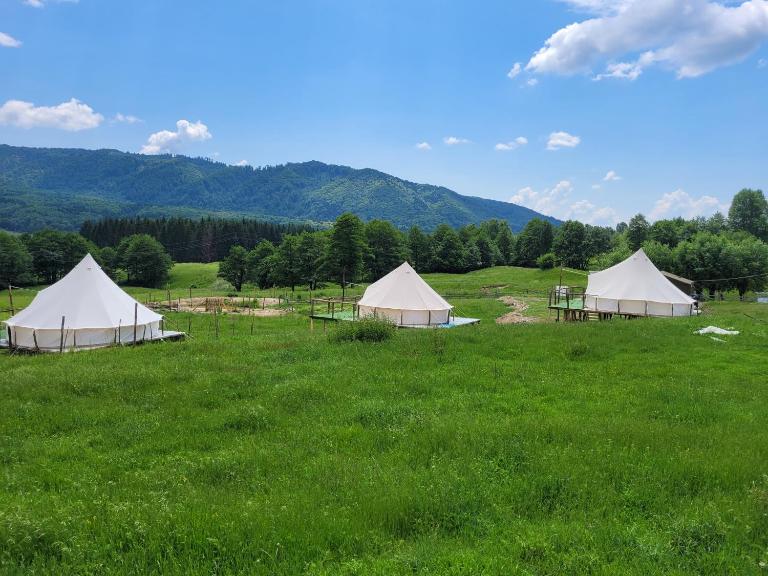 Nucsoara Glamping Cozy - B&B Nucşoara