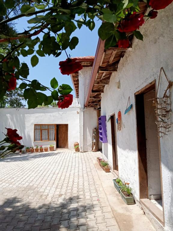 Koca Kapı Konaklama - Chambres d'hôtes Yeşilova