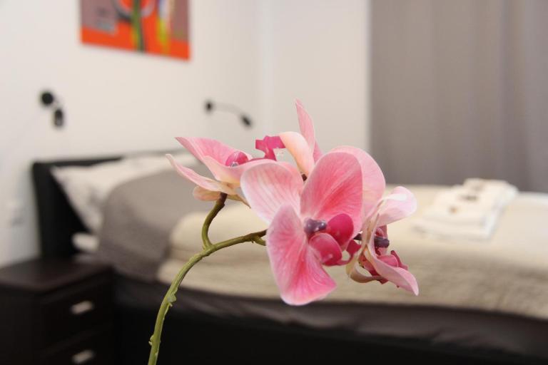 APARTMÁN K2 Zuberec - Bed and Breakfast Zuberec