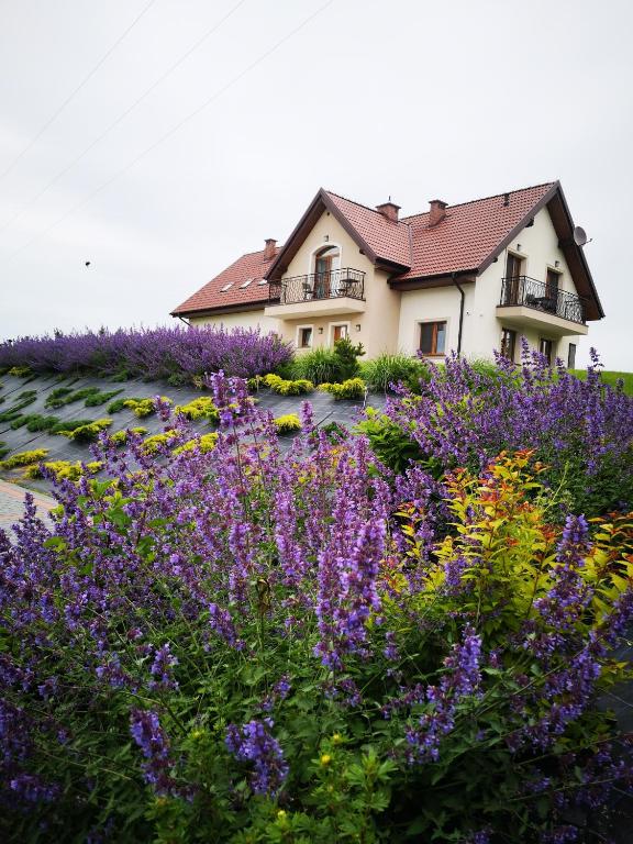 Apartamenty, Zielone Wzgórze Wiktora w Mikołajkach - Bed and Breakfast Mikołajki