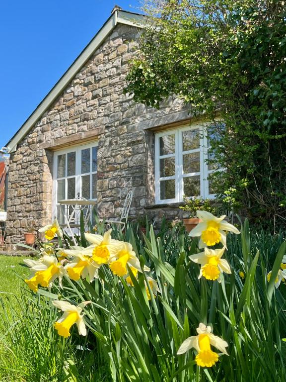 The Billiard Room - Cosy Country Retreat - Ferienwohnung Abergavenny