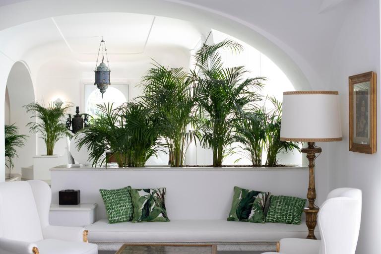 Palazzo Don Salvatore - B&B Amalfi