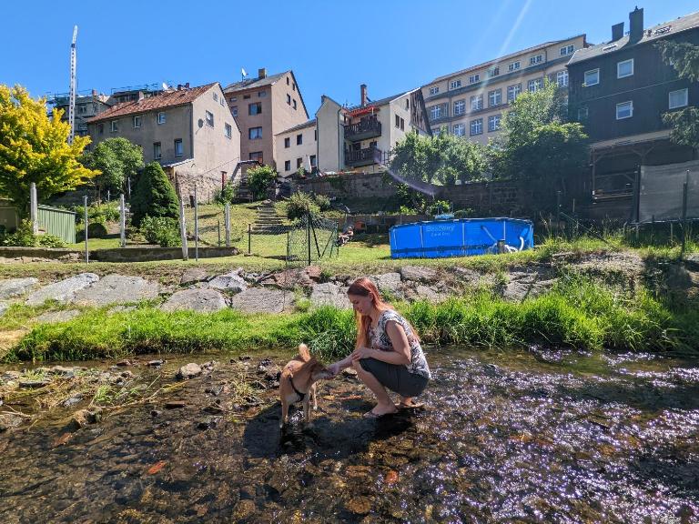 Urlaubsmagie - Ferienwohnung Morgenlicht - Sauna & Saisonaler Pool - Ferienwohnung Sebnitz