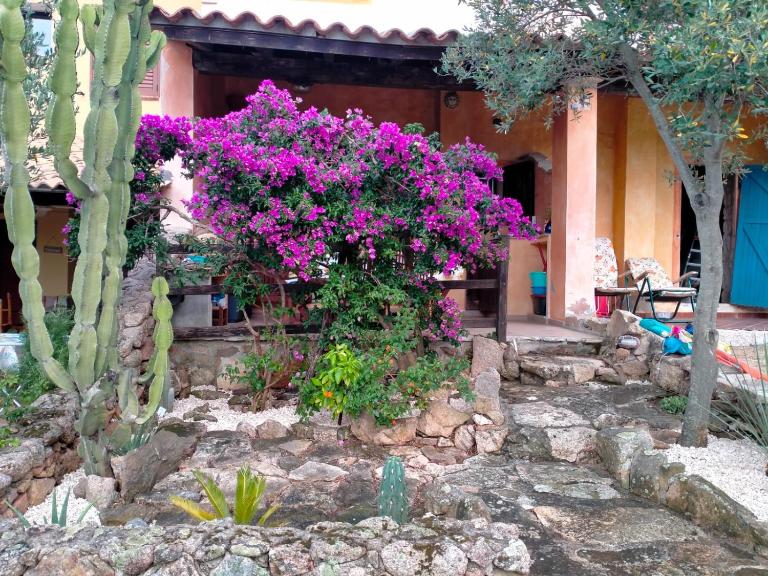 Villa bouganville splendido appartamento - Chambres d'hôtes Olbia