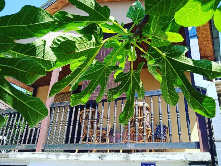 Oaza Kumbor - B&B Kumbor