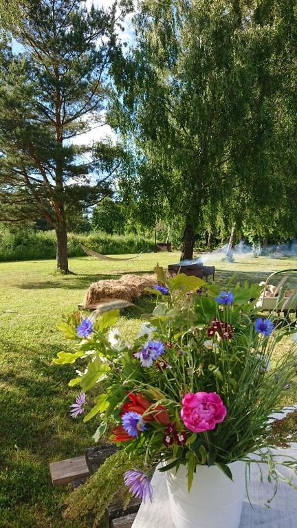 Brīvdienu māja- Silavas - B&B Rucava
