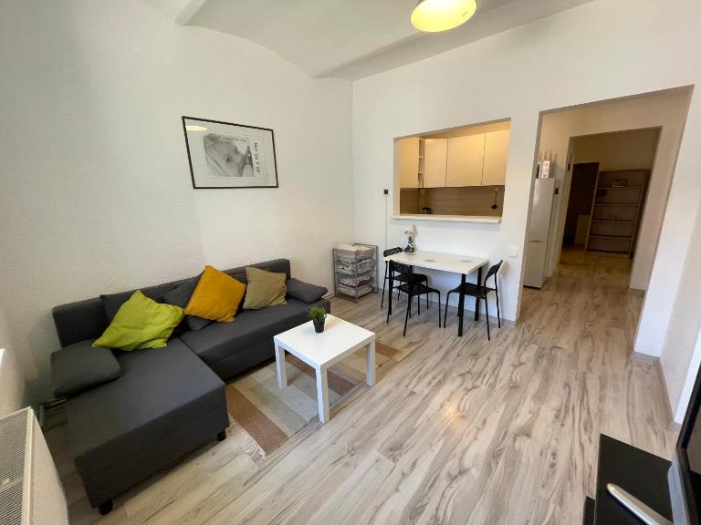 Triada apartament near the park and river Daugava - B&B Riga