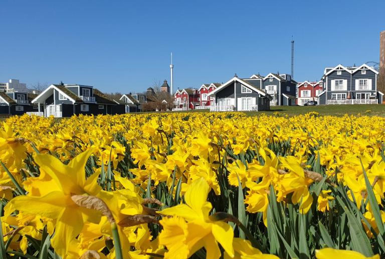 Iris Strandhus - Chambres d'hôtes Sierksdorf