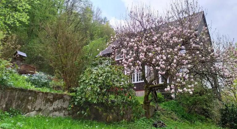 Haus am Wald Zorge 16+ Gäste - Ferienwohnung Walkenried
