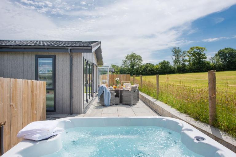 Lavender Lodge, 8 Roadford Lake Lodges - Bed and Breakfast Lifton