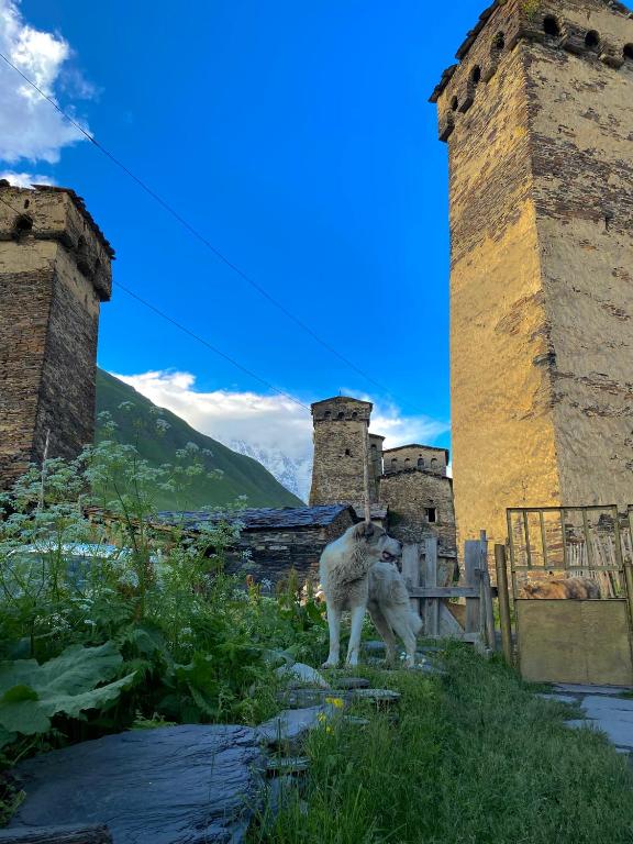 Nizharadze's Tower - B&B Ushguli