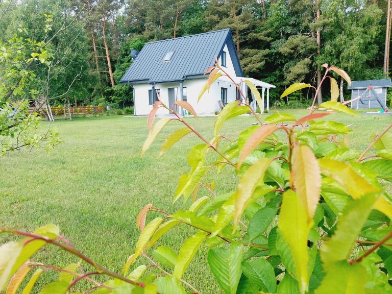 JESZCZE BARDZIEJ DZIKI SAD - B&B Słajszewo