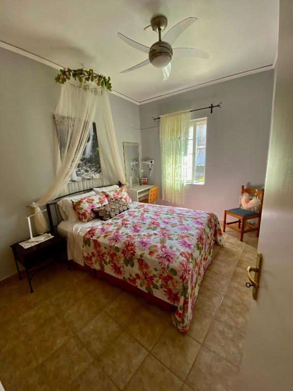 Gallery Apartments - B&B Lixouri