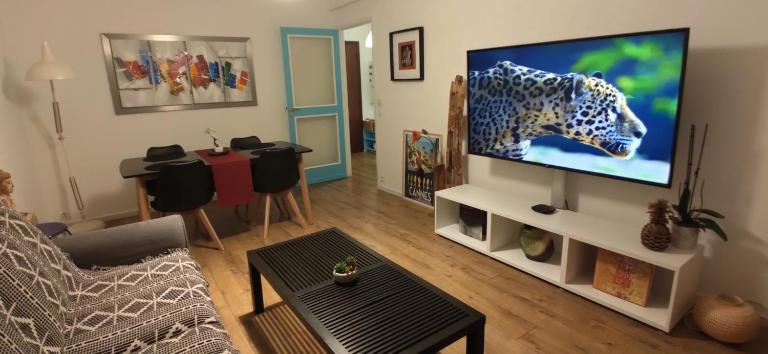apartment 50m from historic town 5min Beach Palais Croisette - Free private parking - Ferienwohnung Cannes