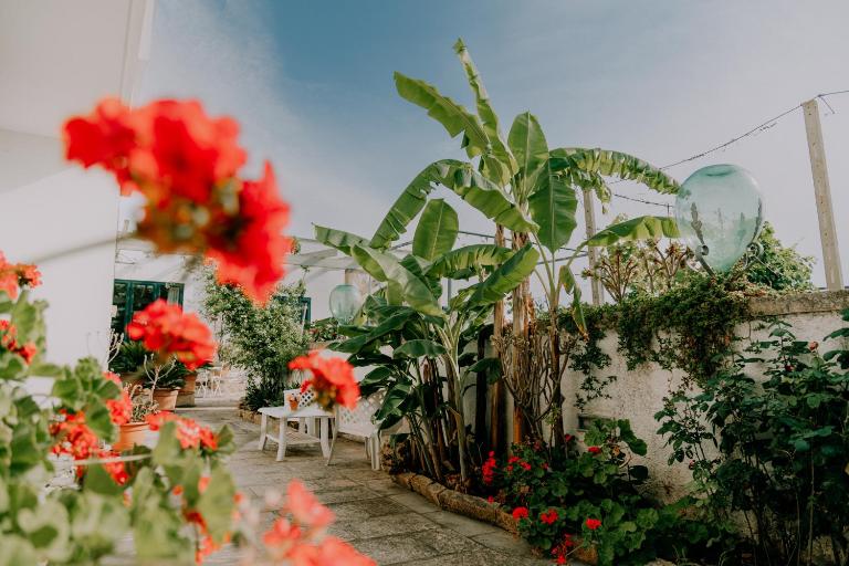 Masseria Agriturismo Il Sorriso Degli Ulivi - Dimora di Charme - B&B Gallipoli