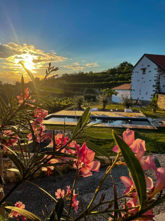 Škerlj Wine Estate - B&B Tomadio