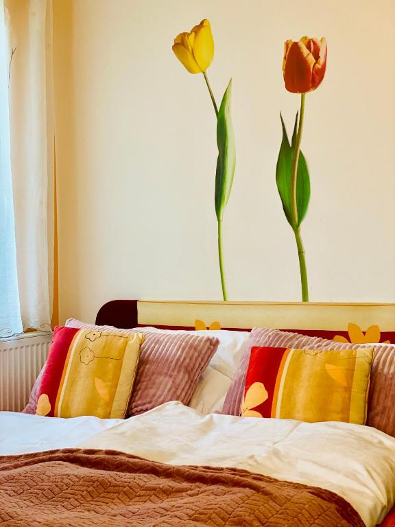 Alba Apartmany Železná Ruda - Chambres d'hôtes Železná Ruda