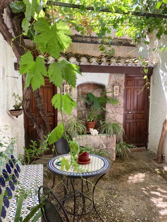 Patio Granada - B&B Granada