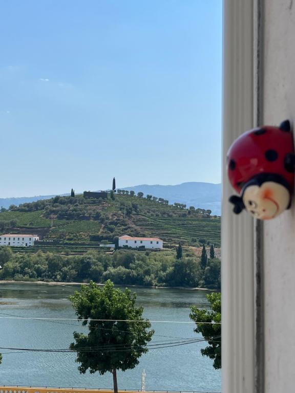 Alojamento Joaninha Douro 2 - Chambres d'hôtes Peso da Régua