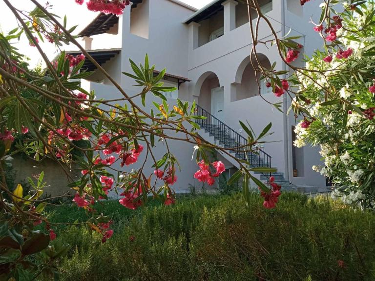 Olive Hill House - B&B Vragkaniotika