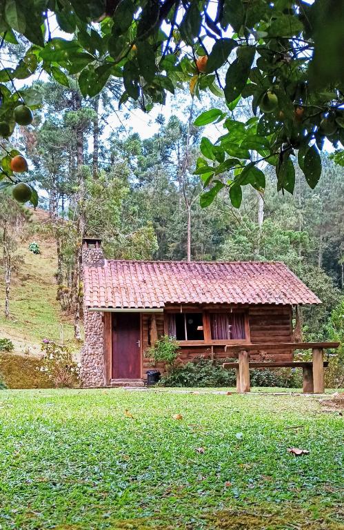 Chalé do Coiote em Maromba - Chambres d'hôtes Visconde de Mauá
