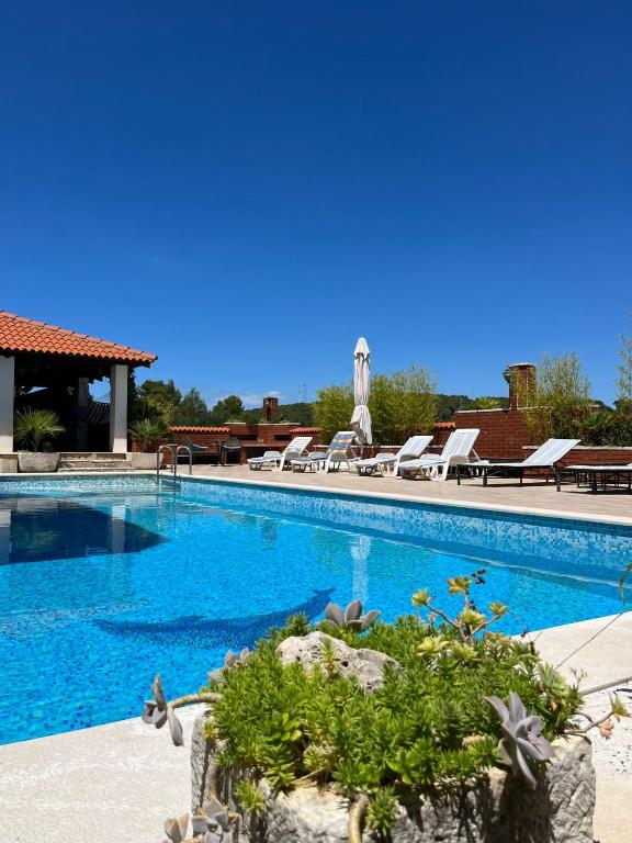 Gorana apartman with swimming pool - B&B Gelsa