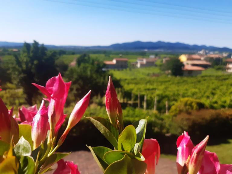 Ca dei Giari - B&B Valdobbiadene