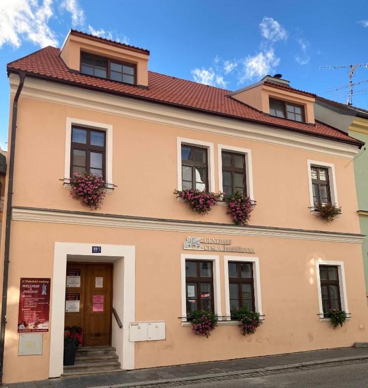 Penzion a wellness U Třeboňské madony - Bed and Breakfast Třeboň