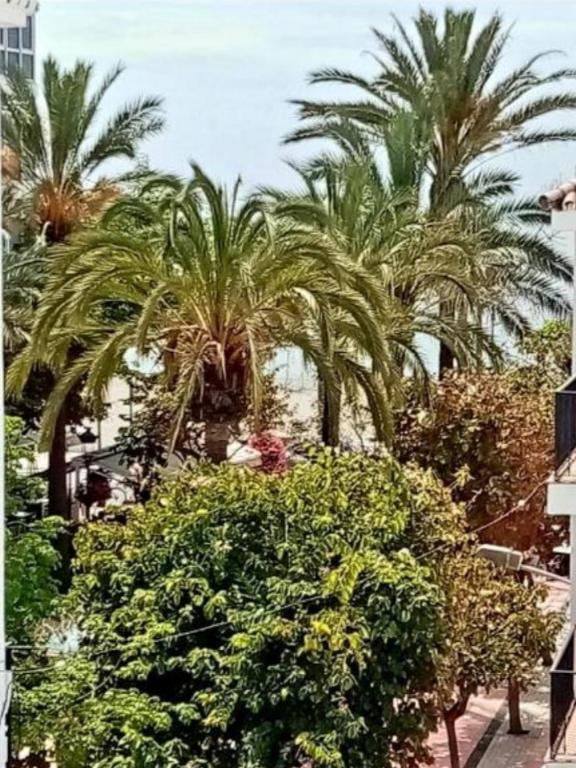 Beach Apartments Old Town - B&B Estepona