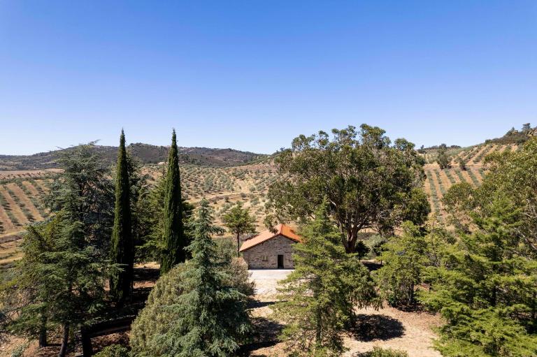 Acushla Original House Douro - B&B Lodões