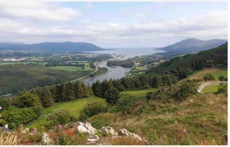 Entire Cottage The Nest, Omeath near Carlingford - B&B Tullaghomeath