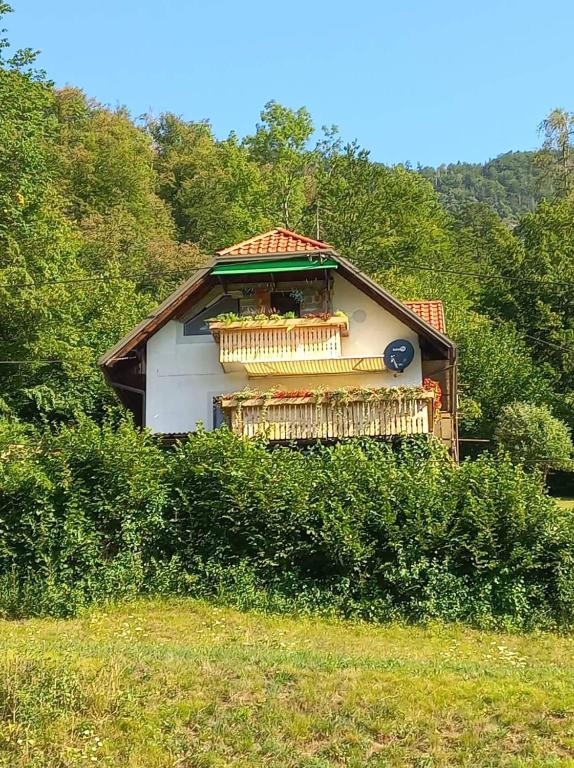 APARTMENT WITH A VIEW - B&B Bohinjska Bistrica