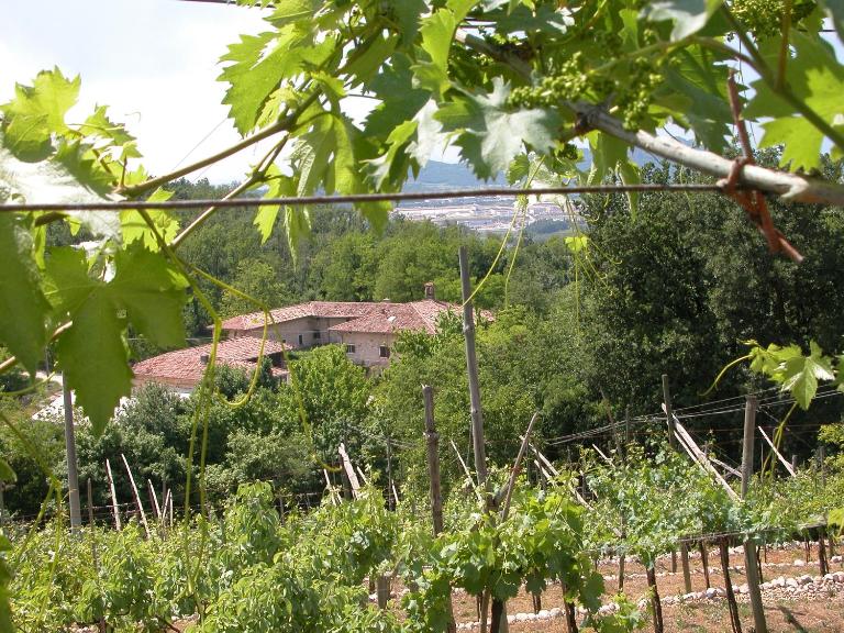 Agriturismo Ca' Verde - B&B Sant'Ambrogio di Valpolicella