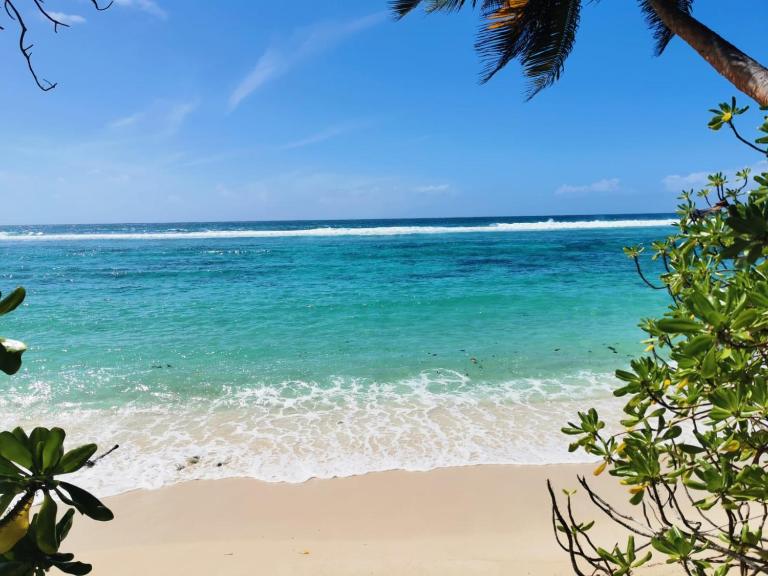 Chalets d'Anse Forbans SelfCatering - Bed and Breakfast Takamaka
