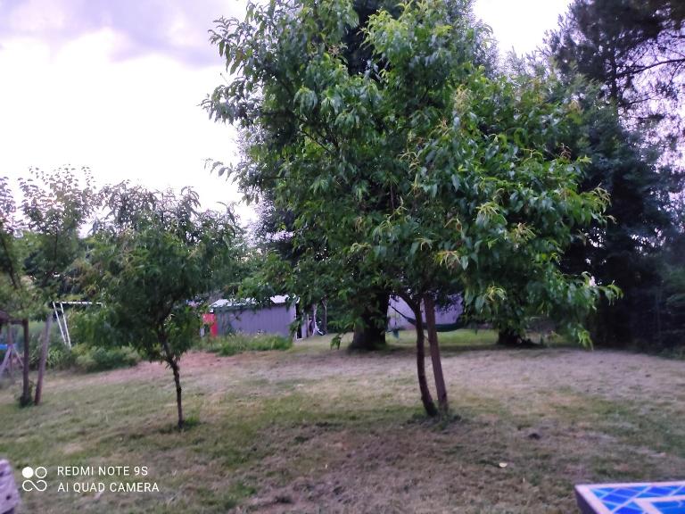 Lulu - B&B Castelmoron-sur-Lot