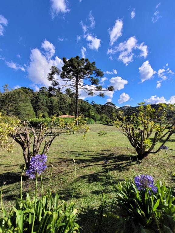 Chalé 02-Recanto da Natureza Gonçalves MG - B&B Gonçalves